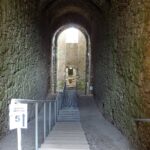 07.05. 2020. Ujazd. Zamek Krzyżtopór / Emilia Sitarska / Radio Kielce