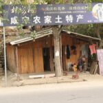 Wioska na obrzeżach Wuhan / Małgorzata Anna Jóźwiak i Marek Jóźwiak