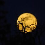 Przed nami Superpełnia i koniunkcja Księżyca i Saturna