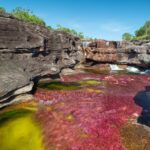 Kolumbia / Ewa Kulak-Carvajal / Kinga Puerto Grzeszczuk i Mario Carvajal
