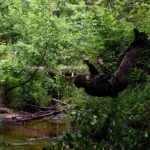 20.06.2020. Leśne ćwiczenia Stowarzyszenia "Rezerwa" / Stowarzyszenie Byłych Żołnierzy ,,REZERWA’’