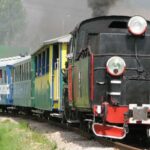 Pińczów. Zabytkowy parowóz Px-48 (polski parowóz wąskotorowy, produkowany po II wojnie światowej w zakładach Fablok). / Muzeum Regionalne w Pińczowie