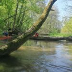 13.06.2020. Spływ kajakowy Nidą / Michał Banaś