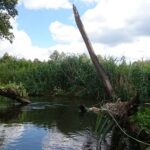 13.06.2020. Spływ kajakowy Nidą / Michał Banaś