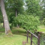 Maleniec. Turnus dla młodzieży leczonej z uzależnień od substancji psychoaktywnych / archiwum muzeum