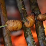 Kolumbia / Ewa Kulak-Carvajal, Kinga Puerto Grzeszczuk i Mario Carvajal