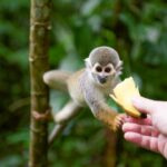 Kolumbia / Ewa Kulak-Carvajal, Kinga Puerto Grzeszczuk i Mario Carvajal