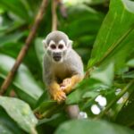 Kolumbia / Ewa Kulak-Carvajal, Kinga Puerto Grzeszczuk i Mario Carvajal