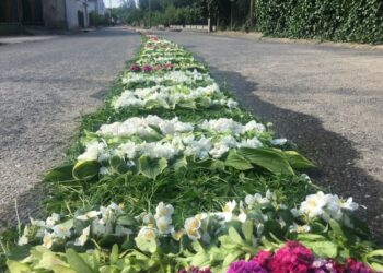 Dywan kwiatowy w Kluczu / Agnieszka Pospiszyl / Radio Opole