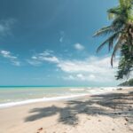 Kolumbia / Ewa Kulak-Carvajal, Kinga Puerto Grzeszczuk i Mario Carvajal