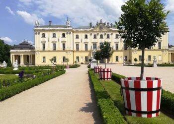 Kilkadziesiąt drzewek cytrusowych ustawiono w ogrodzie Pałacu Branickich / Michał Buraczewski / Radio Białystok