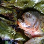 Kolumbia / Ewa Kulak-Carvajal / Kinga Puerto Grzeszczuk i Mario Carvajal