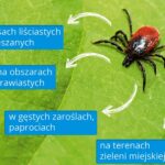 kleszcze / Ministerstwo Zdrowia