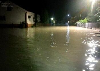 Zjednoczone Służby Ratownicze / facebook