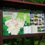 21.06.2020. Doły Biskupie. Odsłonięcie tablic informacyjnych / Emilia Sitarska / Radio Kielce