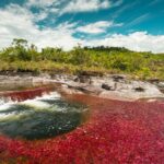 Kolumbia / Ewa Kulak-Carvajal / Kinga Puerto Grzeszczuk i Mario Carvajal