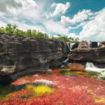 Kolumbia / Ewa Kulak-Carvajal / Kinga Puerto Grzeszczuk i Mario Carvajal