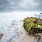 Kolumbia / Ewa Kulak-Carvajal, Kinga Puerto Grzeszczuk i Mario Carvajal