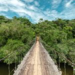 Kolumbia / Ewa Kulak-Carvajal, Kinga Puerto Grzeszczuk i Mario Carvajal