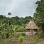 Kolumbia / Ewa Kulak-Carvajal, Kinga Puerto Grzeszczuk i Mario Carvajal