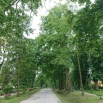 10.06.2020 Solec-Zdrój. Widok na miasto / Marta Gajda / Radio Kielce