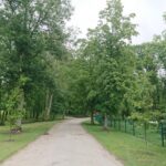 10.06.2020 Solec-Zdrój. Widok na miasto / Marta Gajda / Radio Kielce