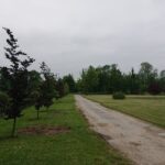 10.06.2020 Solec-Zdrój. Widok na miasto / Marta Gajda / Radio Kielce