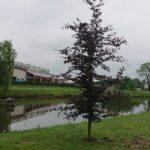 10.06.2020 Solec-Zdrój. Widok na miasto / Marta Gajda / Radio Kielce