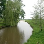 10.06.2020 Solec-Zdrój. Widok na miasto / Marta Gajda / Radio Kielce