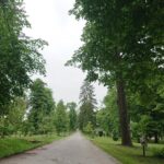 10.06.2020 Solec-Zdrój. Widok na miasto / Marta Gajda / Radio Kielce