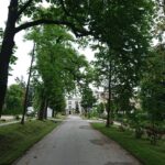 10.06.2020 Solec-Zdrój. Widok na miasto / Marta Gajda / Radio Kielce