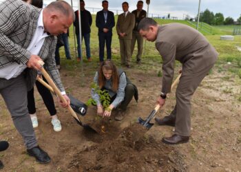 05.06.2020 Radoszyce. Sadzenie prawnuka Dębu Bartka / Magdalena Galas-Klusek / Radio Kielce