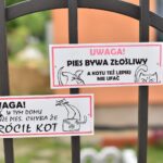 Grzybów koło Staszowa. Uwaga zły pies / Magdalena Galas-Klusek / Radio Kielce