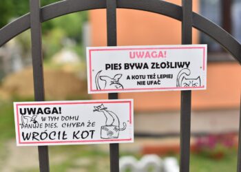 Grzybów koło Staszowa. Uwaga zły pies / Magdalena Galas-Klusek / Radio Kielce