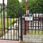 Grzybów koło Staszowa. Uwaga zły pies / Magdalena Galas-Klusek / Radio Kielce