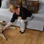 Grzybów koło Staszowa. Uwaga zły pies / Magdalena Galas-Klusek / Radio Kielce