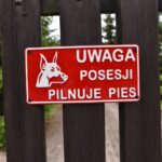 Grzybów koło Staszowa. Uwaga zły pies / Magdalena Galas-Klusek / Radio Kielce