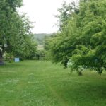 21.06.2020 Brody gm. Pierzchnica. Gospodarstwo agroturystyczne „Daleko od Szosy” / Kamil Król / Radio Kielce