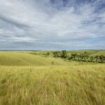 Kolumbia / Ewa Kulak-Carvajal, Kinga Puerto Grzeszczuk i Mario Carvajal