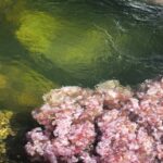 Kolumbia / Ewa Kulak-Carvajal, Kinga Puerto Grzeszczuk i Mario Carvajal