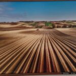 19.06.2020 Skarżysko. Wernisaż wystawy fotografii klubu Zoom / Anna Głąb / Radio Kielce