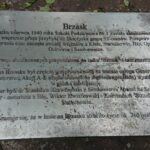 29.06.2020 Skarżysko. Uroczystości z okazji 80. rocznicy mordu na Polakach dokonanego przez Niemców w lesie Brzask / Anna Głąb / Radio Kielce