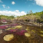 Kolumbia / Ewa Kulak-Carvajal / Kinga Puerto Grzeszczuk i Mario Carvajal