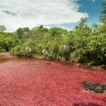 Kolumbia / Ewa Kulak-Carvajal / Kinga Puerto Grzeszczuk i Mario Carvajal