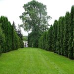 11.06.2020. Jędrzejów. Archiopactwo Cystersów. Uroczystości Bożego Ciała / Ewa Pociejowska-Gawęda / Radio Kielce