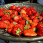 Najlepsi będą się mogli zmierzyć w szypułkowaniu