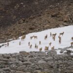 Karakorum Highway / Mariola Maćko