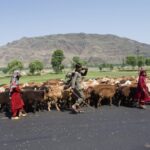 Karakorum Highway / Mariola Maćko
