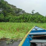 Kolumbia / Ewa Kulak-Carvajal / Kinga Puerto Grzeszczuk i Mario Carvajal