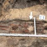 Łącznie na budowie znaleziono 13 grobów / UMŁ